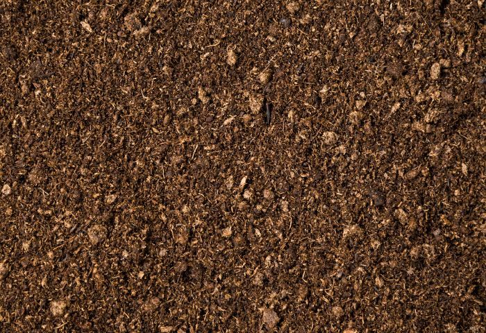 L&eacute;čebn&eacute; použ&iacute;v&aacute;n&iacute; bahna a ra&scaron;eliny